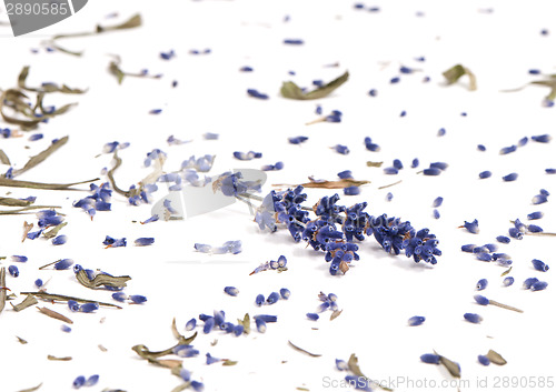 Image of Dried Lavender