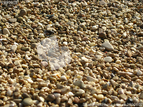 Image of Pebbles on beach