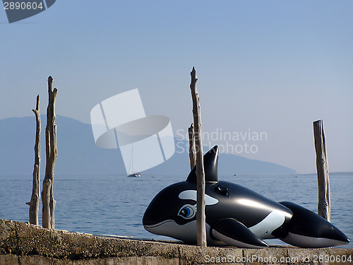 Image of Inflatable Orca Whale resting near sea