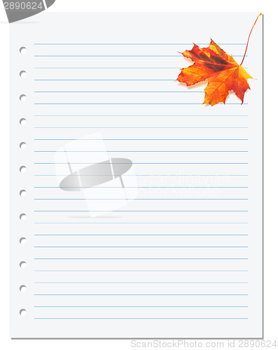 Image of Notebook paper with orange autumn maple leaf on white