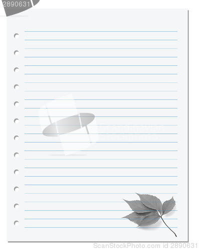 Image of Notebook paper with virginia creeper leaf 