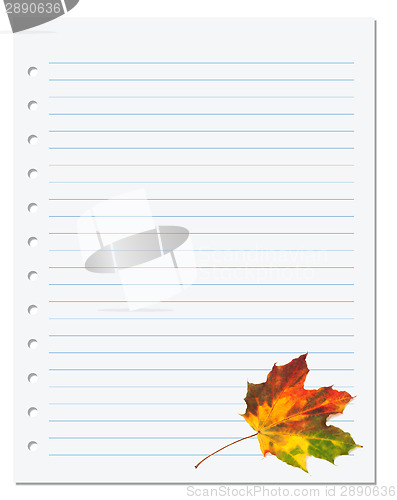 Image of Notebook paper with multicolor autumn maple leaf on white