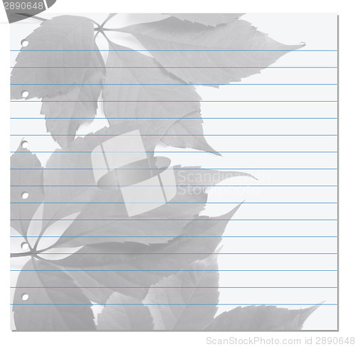 Image of Notebook paper with virginia creeper leaf on background
