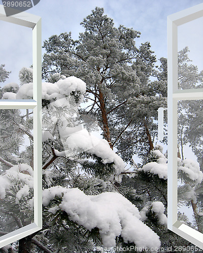 Image of open window to snowy winter forest
