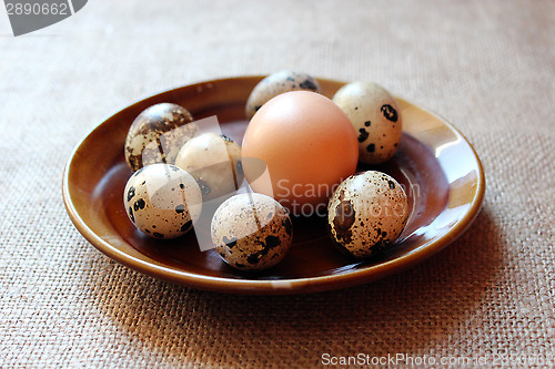 Image of some eggs of the quail and one of the hen