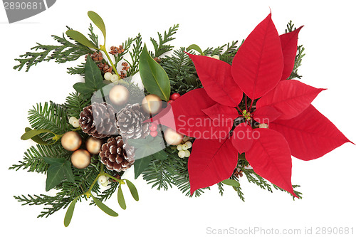 Image of Christmas Floral Display