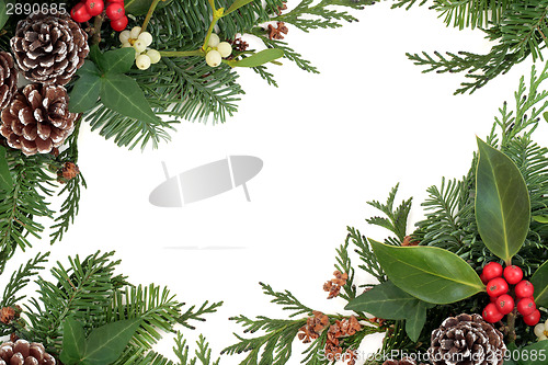 Image of Traditional Winter Border