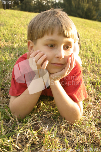 Image of Resting on grassy hill