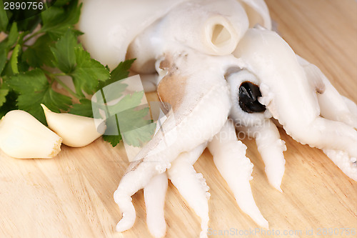 Image of Raw cuttlefish