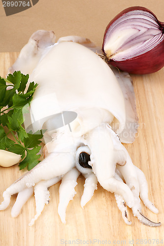 Image of Raw cuttlefish