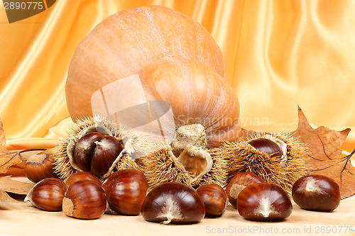 Image of Chestnuts and pumpkin