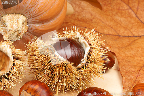 Image of Chestnuts and pumpkin