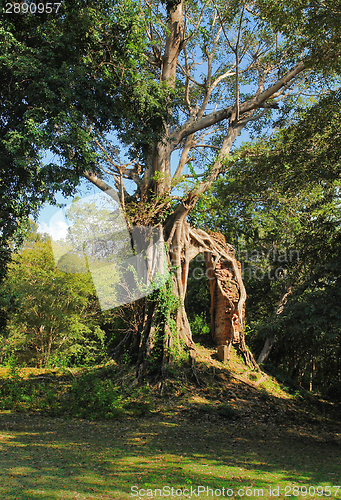 Image of Beng Mealea