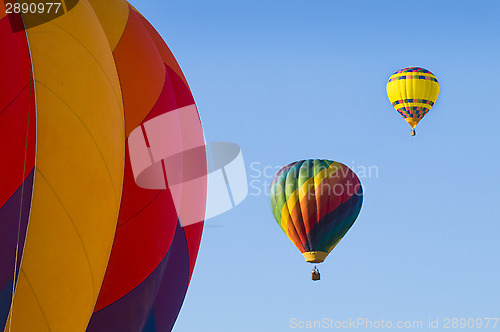 Image of Airborne hot-air balloons with one in foreground