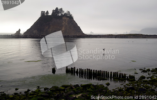 Image of Pelican Stacks Bluffs Pacific Ocean West Coast