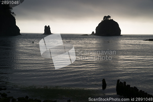 Image of Stacks Bluffs Pacific Ocean West Coast