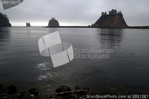 Image of Stacks Bluffs Pacific Ocean West Coast