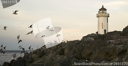 Image of Seagulls Fly Shorebirds Rock Barrier Point Wilson Lighthouse