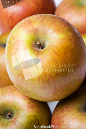 Image of Apples