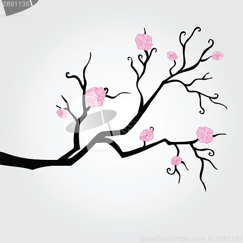 Image of Branch in bloom.