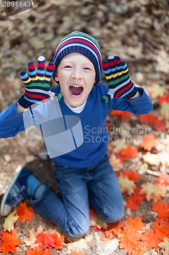 Image of kid at fall