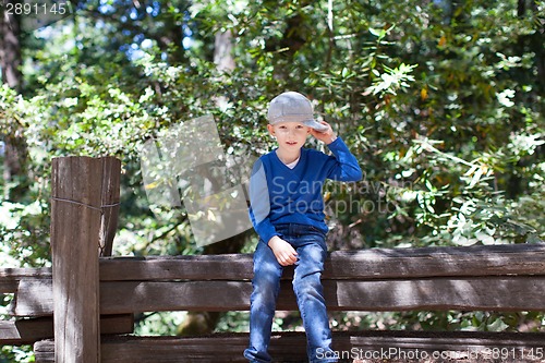 Image of boy in forest