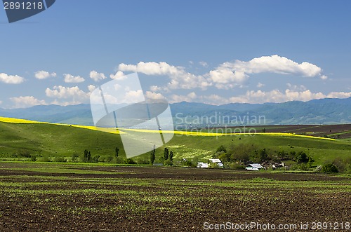 Image of Spring field