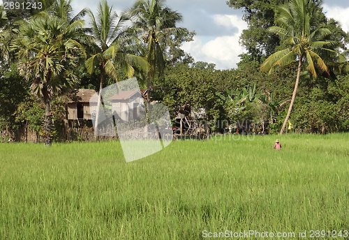 Image of rural scenery in Thailand