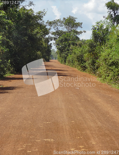 Image of jungle road