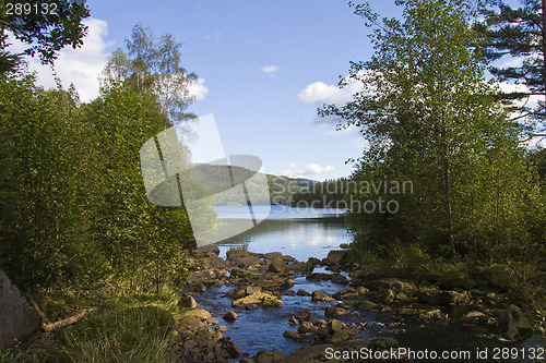 Image of Nature and water