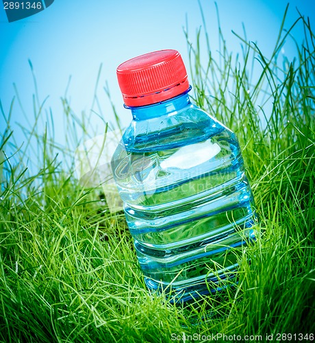 Image of Water bottle on the grass