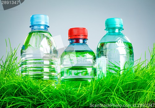 Image of Water bottle on the grass