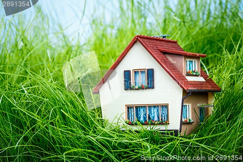 Image of House on the green grass