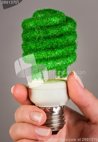 Image of Concept Eco light bulb