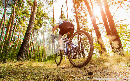 Image of Women on bike