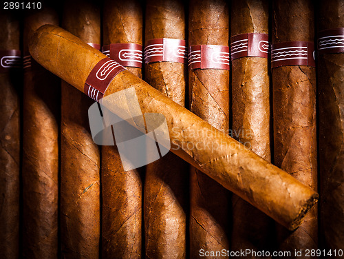 Image of Cigars in humidor