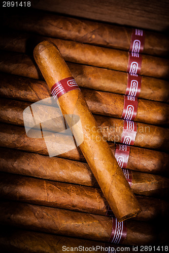 Image of Cigars in humidor