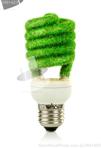 Image of Concept Eco light bulb