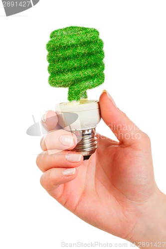 Image of Concept Eco light bulb