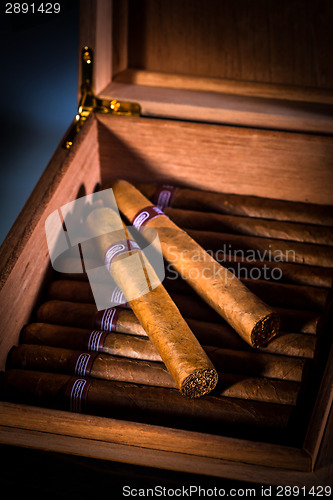 Image of Cigars in humidor