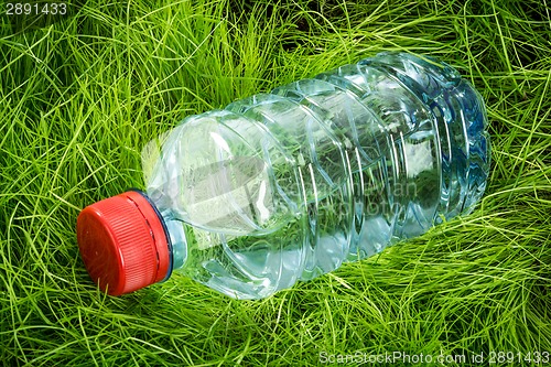 Image of Water bottle on the grass.