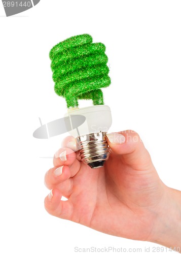 Image of Concept Eco light bulb