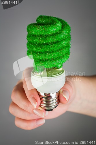 Image of Concept Eco light bulb