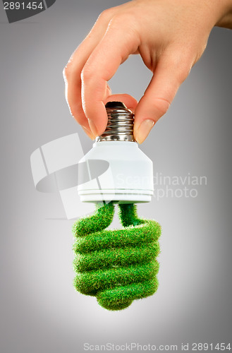 Image of Concept Eco light bulb