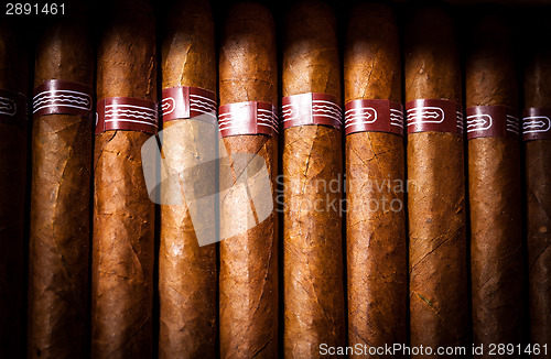 Image of Cigars in humidor