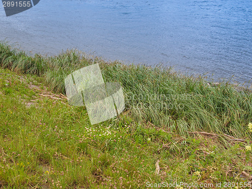 Image of Elbe river