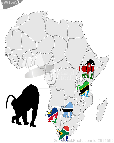 Image of Baboon range map