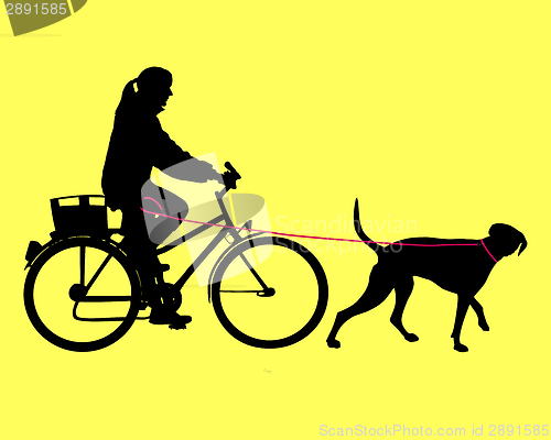 Image of Woman on bicycle with dog on leash