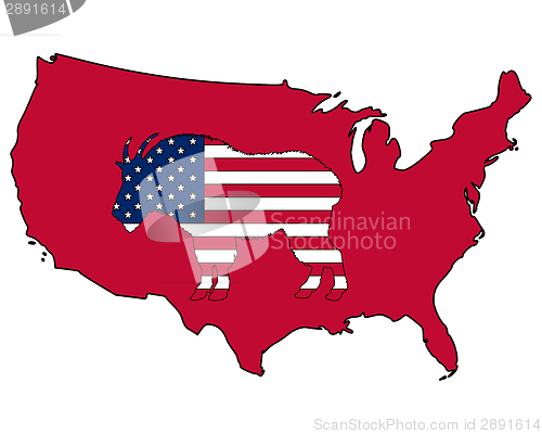 Image of Mountain goat USA