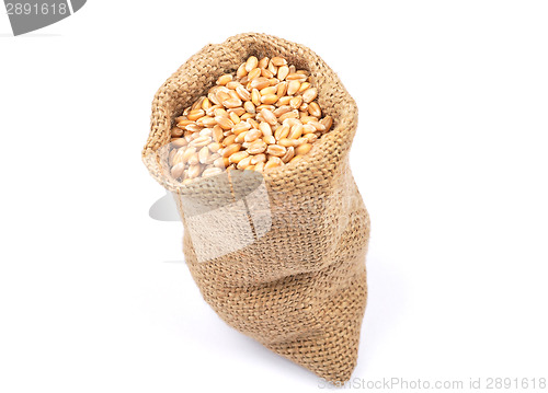 Image of Cereal bag on white